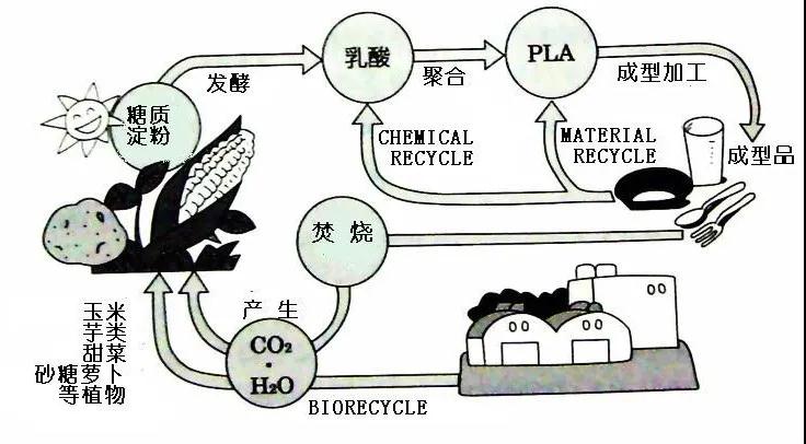 可生物降解環(huán)保塑料可以回收再利用嗎？(圖4)