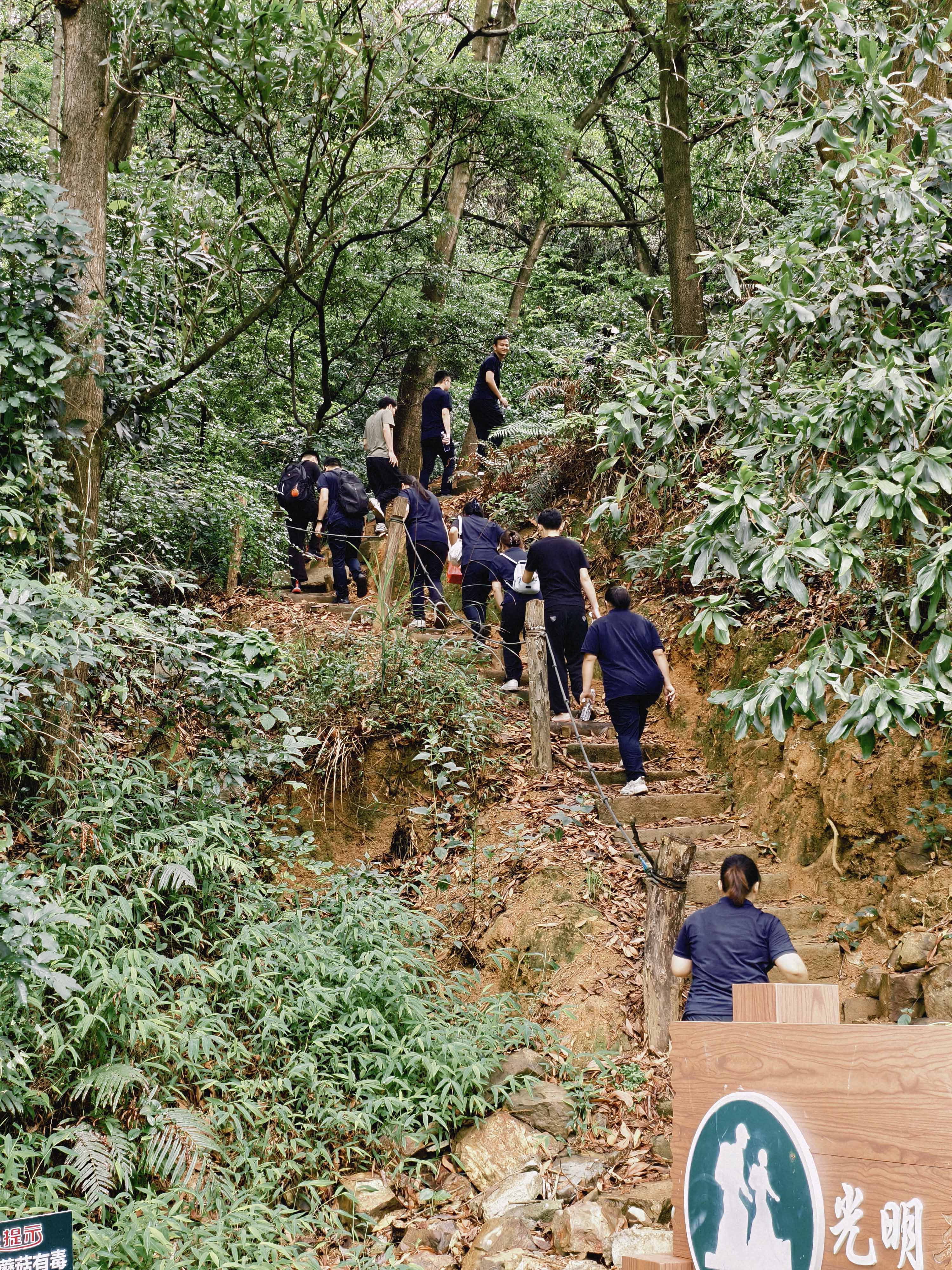久信達科技公司員工齊聚光明區(qū)蠄蜍石，開啟活力爬山之旅暨團建活動(圖2)